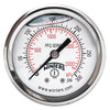 Panel-Mount Pressure Gauge, 0 to 300 psi, 2 in Dial, 1/8 in NPT, Center Back Location