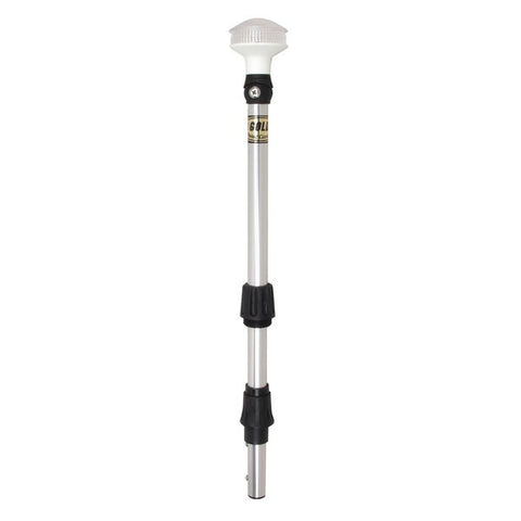 Omega Series 36" Led Universal Pole Light