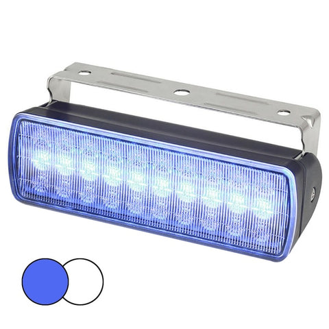 Sea Hawk XL Dual Color LED Floodlights - Blue/White LED -