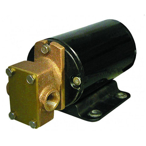 Gear Pump 3/4" NPT Ports - 12V