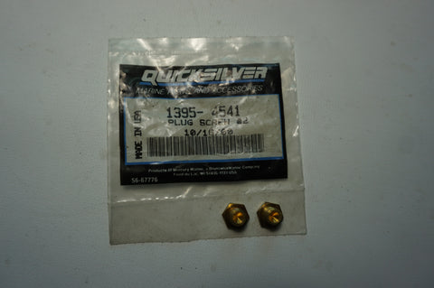 Quicksilver 1395-4541 Plug Screw