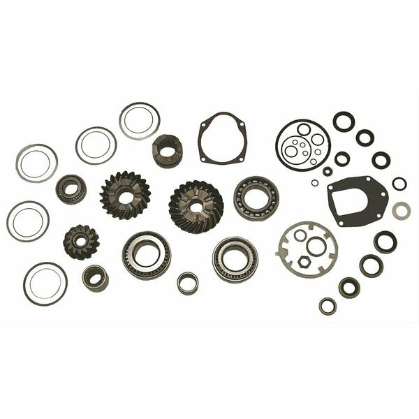 Lower SealBearing  Gear Kit