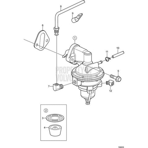 Fuel Pipe