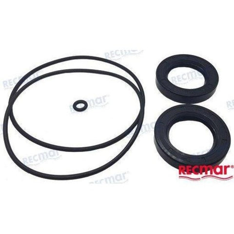 Gasket Set Lower Unit 130150