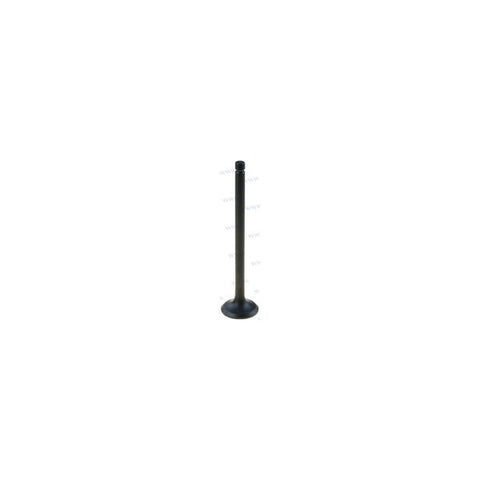 Exhaust Valve