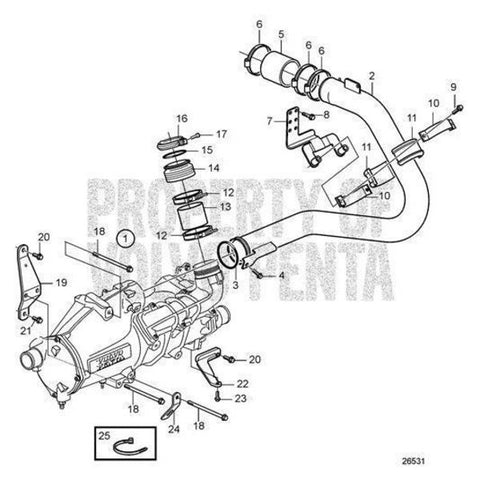 Hose Clamp