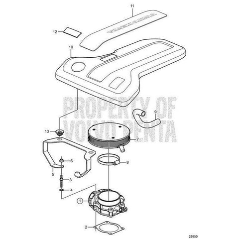 Hose ClampV2