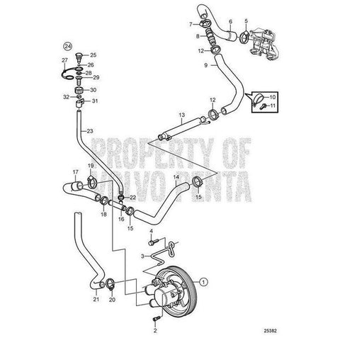 Hose,  21429134