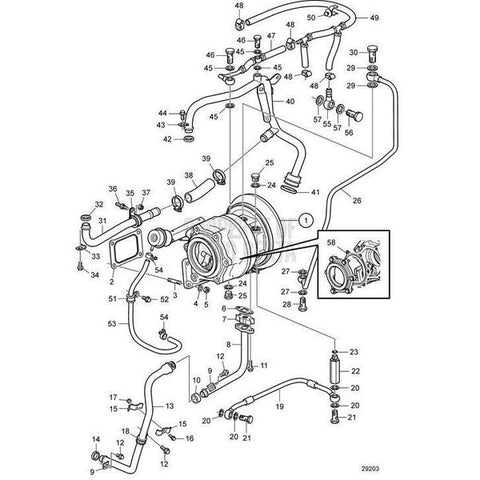 Hose V2