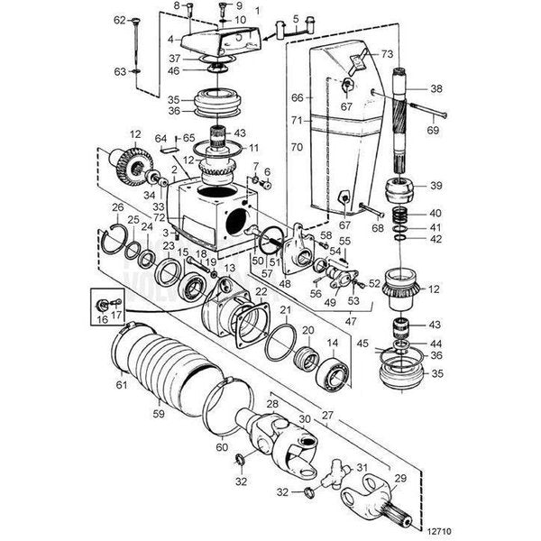 Hose Clamp