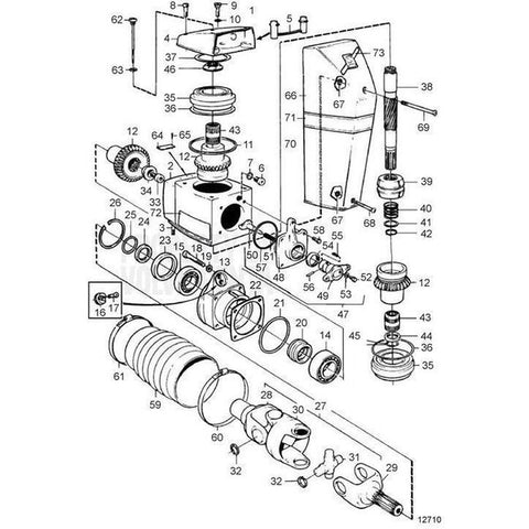 Hose Clamp