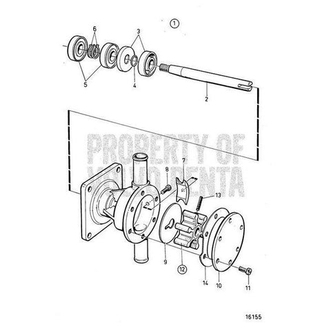 Sealing Ring