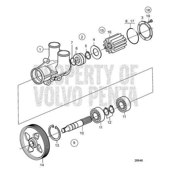 Sealing Ring