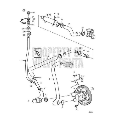 Hose,  3594841