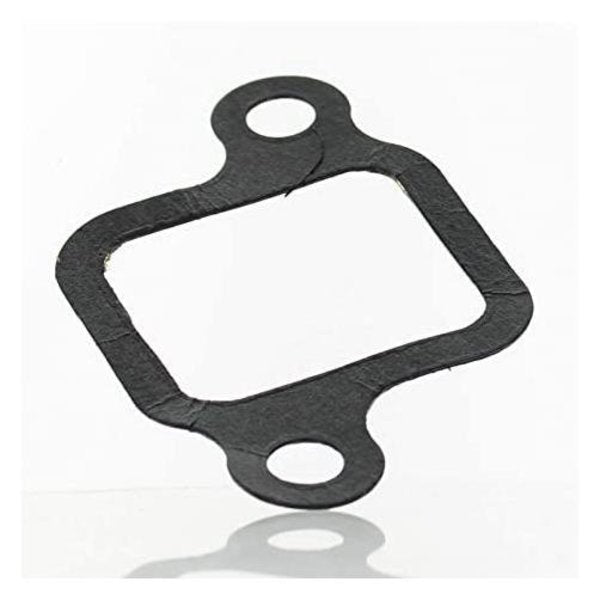 Gasket,  3852096