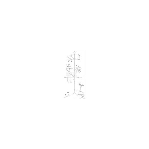 Intake Gasket Kit