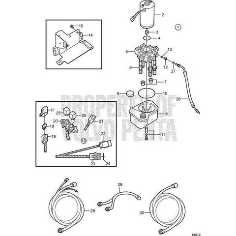 Electrical Motor