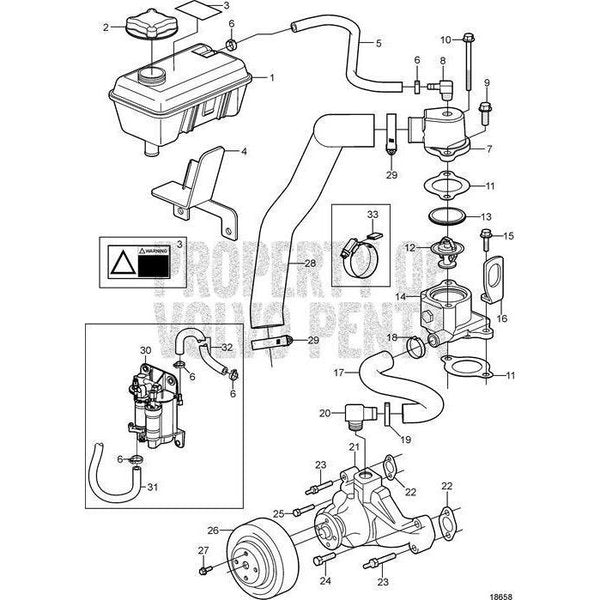 Hose,  3861569