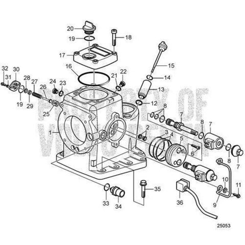 Sealing Ring