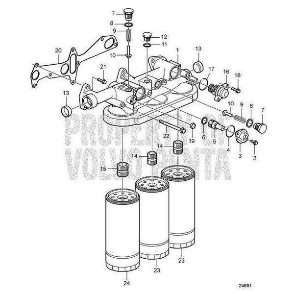 Gasket,  8170534