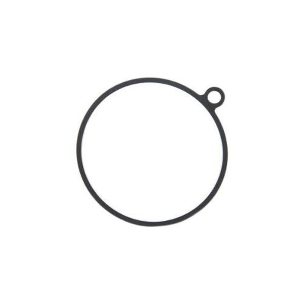 Gasket,  832669