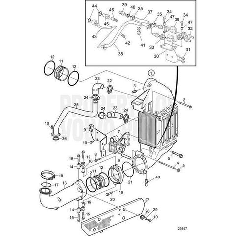 Hose Coupling