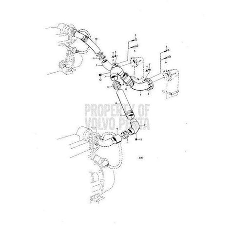 Hose Clamp