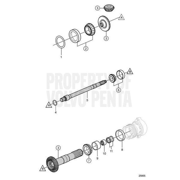 Roller Bearing