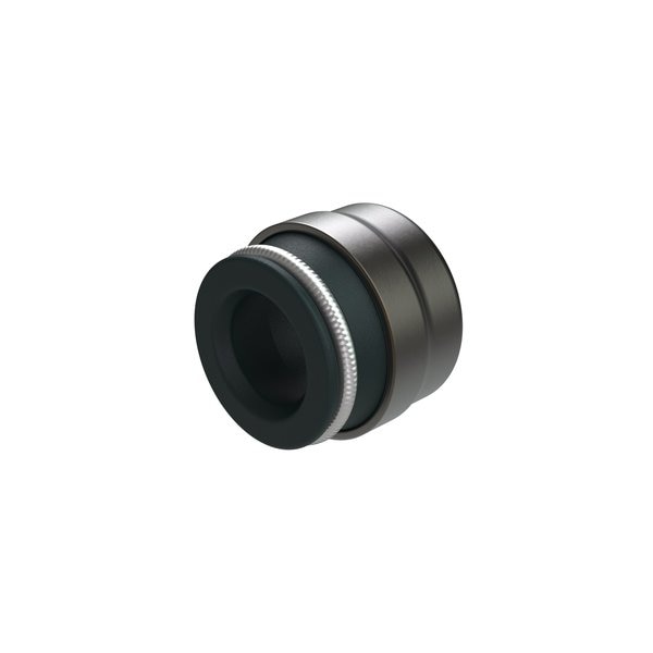 Valve Seal