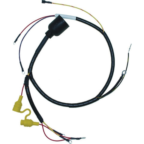 Johnson/Evinrude Wiring Harness 2 Cyl.