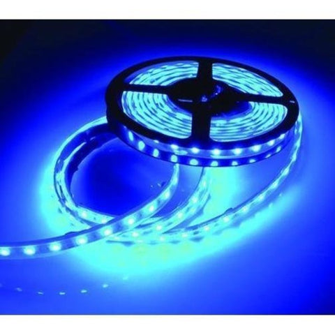 Light-Led Rope 20' Blue,  #LED-SM20-B-DP